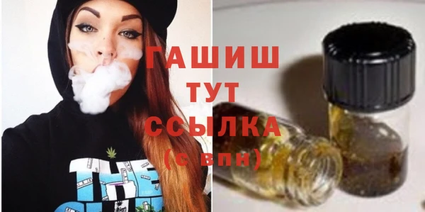 индика Наволоки
