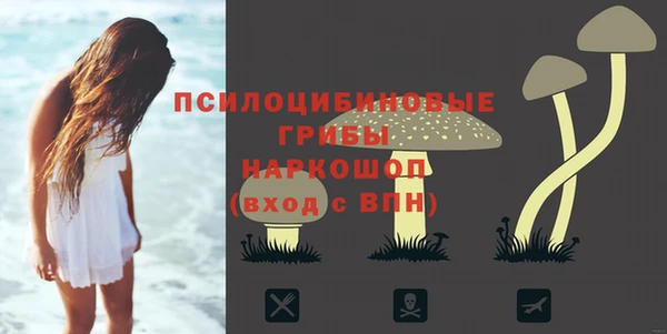первитин Надым