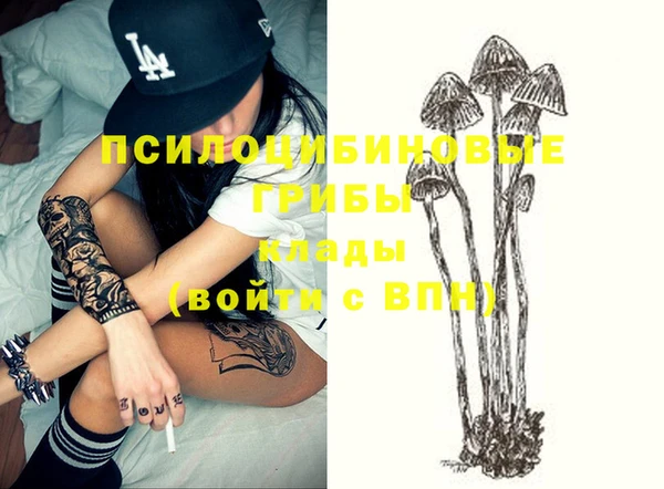 дурь Михайловск