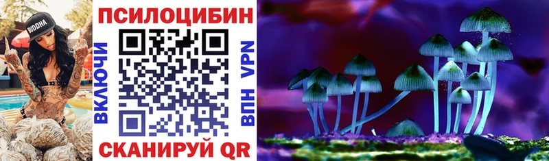 Галлюциногенные грибы Psilocybe  blacksprut tor  Питкяранта 